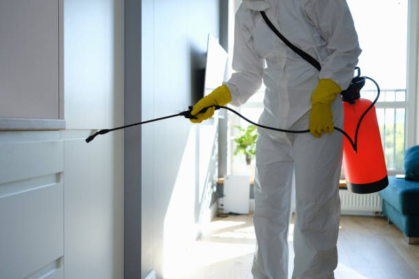 Best Toxic Mold Removal  in White Hall, IL