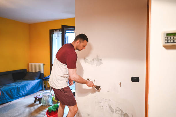 Best Attic Mold Removal  in White Hall, IL